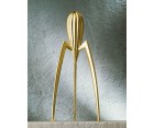 Exprimidor JUICY SALIF Medium - Fab. Italia