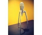 Exprimidor JUICY SALIF Medium - Fab. Italia
