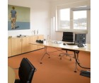 Silla oficina EA 219 SOFT PAD / Piel italiana - Fab. Italia