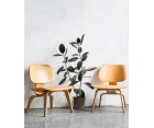 Sillón LCW GROUP - Fab. Italia