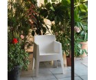 Silla / Sillón TOY DRIADE / Inyectado - Fab. Italia