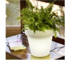 Macetero PLANTER MEDITERRANEO
